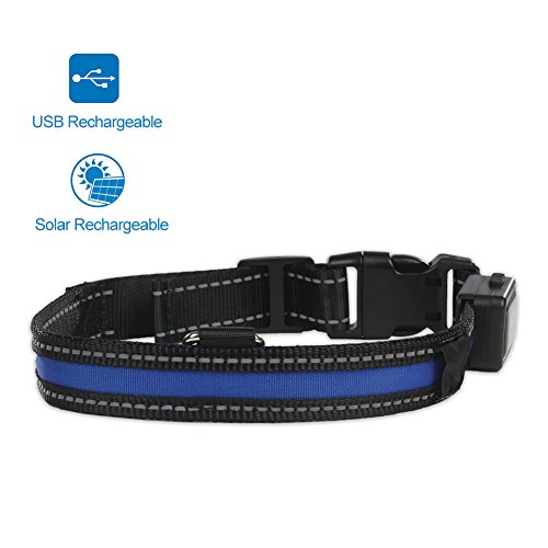 Divine Shield LED Collar Perro Energía Solar Energía y USB Recargable Collar de Seguridad para Perros Mayor Visibilidad y Seguridad para Sus Mascotas (Medio 40-50cm)