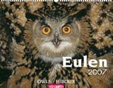 Eulen 2009 by 