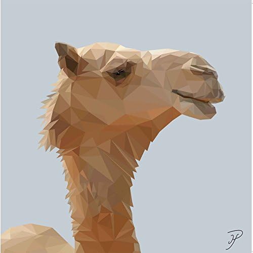 Birthday, Anniversary Greetings Card - Camel Animal Design - Blank
