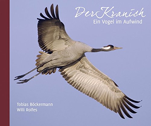 Der Kranich: Ein Vogel im Aufwind Der Kranich: Ein Vogel im Aufwind