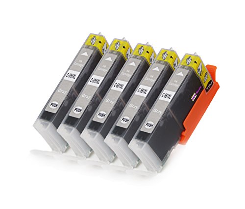 5er Set Druckerpatronen kompatibel zu Canon CLI-551GY XL / Grau / geeignet für CANON Pixma MG6350 / MG7150 / IP8750