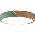 minifair Round Trichromatic Dimming LED Ceiling Light Flush Mount,Green,16 inch/40cm