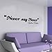 Wall sticker - Never say Never, Justin Bieber , wall decor, quote, Transfer, Bedroom(1L) -LARGE -SIZE 120cm x 40cm -Purple
