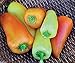 Produktbild Virtue Feher Ozon Paprika Pepper, from Hungary. Heirloom Pepp, 30 Organic Seeds