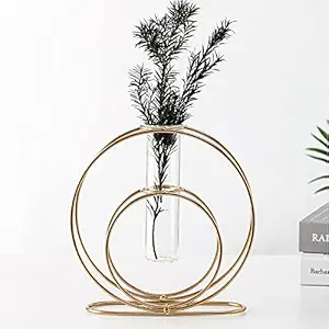 Ruhi Collections Double Rings Glass Test Tube Flower Vase with Gold Round Metal Stand Flower Vase for Chic Home Decor