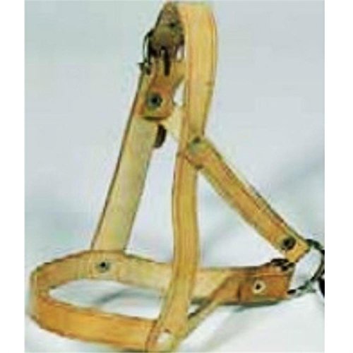 Tête Licol pour moutons et böcke