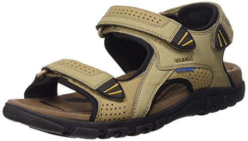 « Click to Enlarge and to go to Amazon »