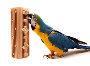 Activity Block - Large Parrot Toy