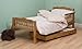 Saplings Pine Junior / Toddler Bed in Antique Finish with Foam Mattress