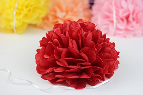 SUNBEAUTY 5er Set 15/20/25cm Tissue Papier Blumen Pompoms Dekoration (15cm, Rot) - 3
