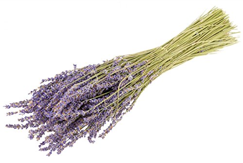 Lavendel Bund ‚extraqualität‘ getrocknet herrlich duftend ca. 100g - 3