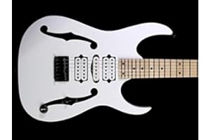 GUITARCUSTOM Faux Holes - Adesivo in vinile per chitarra, colore: nero