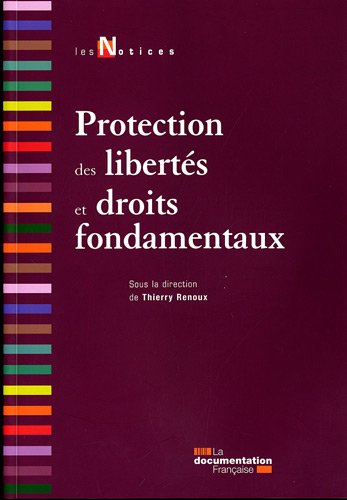 Download Protection des libertés et droits fondamentaux, 2e édition Download Protection des libertés et droits fondamentaux, 2e édition