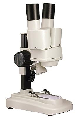 Paralux Loupe TP Junior LED + Minéraux 60-6230-1