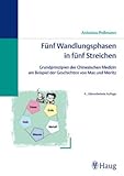 Image de Fünf Wandlungsphasen in fünf Streichen