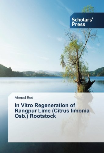 Preisvergleich Produktbild In Vitro Regeneration of Rangpur Lime (Citrus limonia Osb.) Rootstock