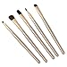 niceeshop(TM) 5Pcs Professional Eyeshadow Brushes Set Kit Eye Makeup Tool with Round Tube Case,Gold