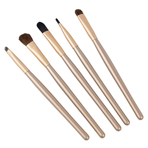 niceeshop(TM) 5Pcs Professional Eyeshadow Brushes Set Kit Eye Makeup Tool with Round Tube Case,Gold