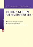 Image de Kennzahlen für Geschäftsführer: - Bilanzanalyse und Jahresabschlussszenarien - Controlling und Ca