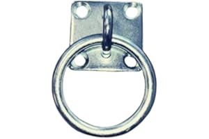 PFERDELINIS Anillo de encuadernación de caballo, ganado, gancho de fijación para atornillar, placa ocular de acero inoxidable macizo (2 anillos de conexión)