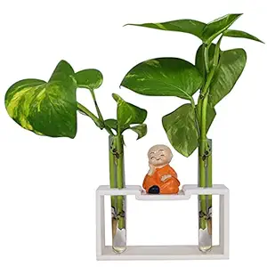 Ratash Corian Solid Surface Hydroponic Test Tube Planter / Flower Vase Rectangular Luster with 2 Glass Test Tube and A Baby Monk (14 cm X 5 cm X 7.5 cm)