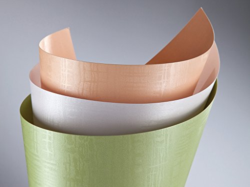 50 FALAMBI Premiumkarton – Sortiment mit 50 verschiedenen Papieren 220 – 250 g/m², bedruckbar, Karton durchgefärbt - 4