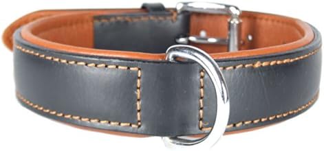 Ace Comfy Leather Big Dog Collar Padded And lined with Lamb's Leather: (30" Collar- Will Fit 24" to 28" (1.5" Wide).