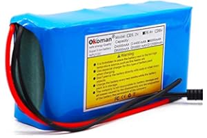 OKOMAN Batterie 24V 6Ah Batterie Li-ION 29.4v 6000mah Vélo électrique Cyclomoteur/Batterie Li-ION avec BMS + Chargeur