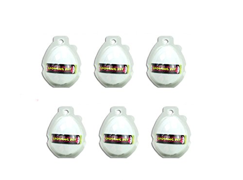 6x wachsendes Dino Ei, Mitgebsel zur Dinoparty, Mottoparty Dinosaurier