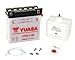 Produktbild YUASA Batterie Yamaha YZF-R 125, 2008-2013 (Typ RE06)