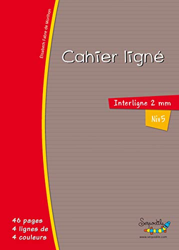 Petit cahier avec lignes en couleur - interligne 2mm à carreaux - reliure piquée