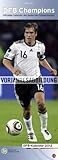 DFB Champions Vertical 2013 by