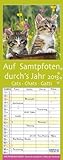 Auf Samtpfoten durchs Jahr 2013: Planer mit 4 Spalten. Mit Ferienterminen by 
