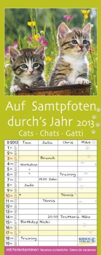 Auf Samtpfoten durchs Jahr 2013: Planer mit 4 Spalten. Mit Ferienterminen