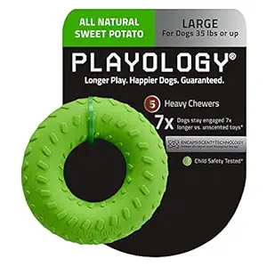 Playology - Dual Layer Ring Dog Toy - Large - Engaging All-Natural Sweet Potato Scent