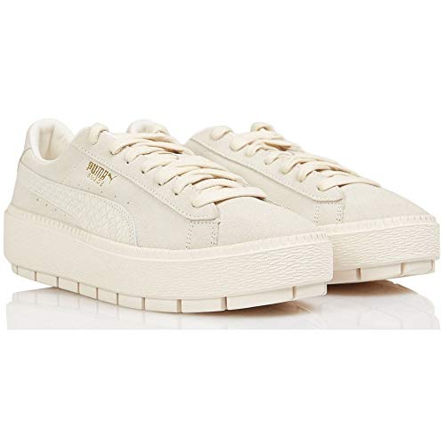 platform trace animal puma