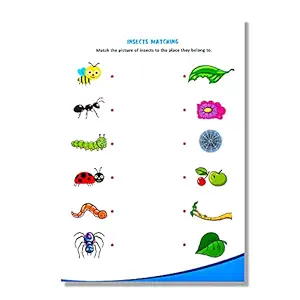 iLearnngrow Insects Kit for Kids