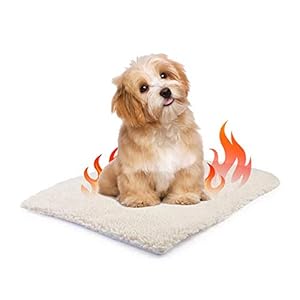 Ailyoo Manta térmica para Mascotas, para Perros, Gatos, en Invierno y para Perros, para Gatos y Animales pequeños
