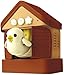 Takara Tomy A.R.T.S Dokodemo Palm-Sized Cuckoo Clock (Chocolate Brown)