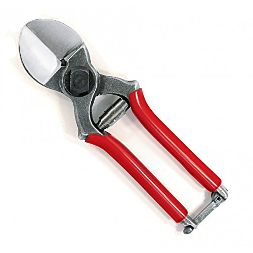 Ausonia - Forbice per frutteti a doppio taglio cm 20