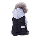 ☆★Mida por favor su perro y tenga una referencia antes de su compra según el mapa del tamaño abajo Descripción de producto====Perfeccione para los partidos del fin de semana, Halloween, Navidad, sesión de la foto o fecha del juego