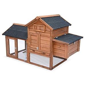 Poulailler En Comparer Les Prix Des Poulailler En Pour économiser