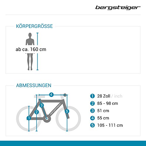 Bergsteiger Florenz 28 Zoll Damenfahrrad, Shimano 7 Gang, Standlichtfunktion, Korb - 2
