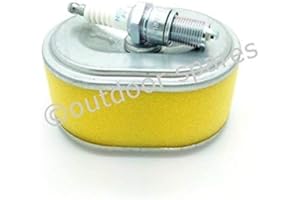 ROCWOOD Kit de servicio de motor pequeño incluido enchufe NGK y filtro de aire de repuesto compatible con Honda GX110 y GX120