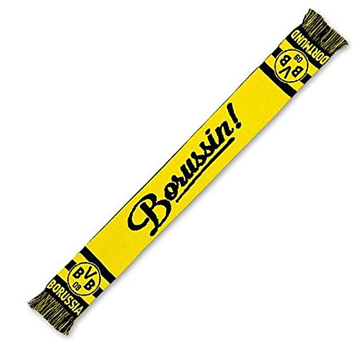 Preisvergleich Produktbild BVB BORUSSIA DORTMUND SCHAL BORUSSIN