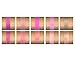 10 Pigmented Professional Blush & Bronzer Palette Makeup Kit Set Pro Palette High-end Formula (Blushes & Bronzer)