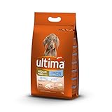Alimento para perros Junior (1 a 12 meses) medianos y grandes (+ 10 kg) rico en pollo y arroz