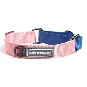 Heads Up For Tails Martingale Adjustable Dog Collar - Pink and Navy - L