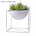 Produktbild Blumentopf Geometrische Eisen Rack Halter Metall Ständer Weiß mit Übertopf Innen Desktop Garten Topf Kleine Blume Rack für Wohnzimmer Balkon Zimmer Boden Desktop Garten(Farbe :Weiß)