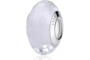 Nbsameng Breloque en verre de Murano, bracelet et pendentif chaîne pour femme, argent sterling 925, Pandora compatible avec Gnoce et Trollbeads